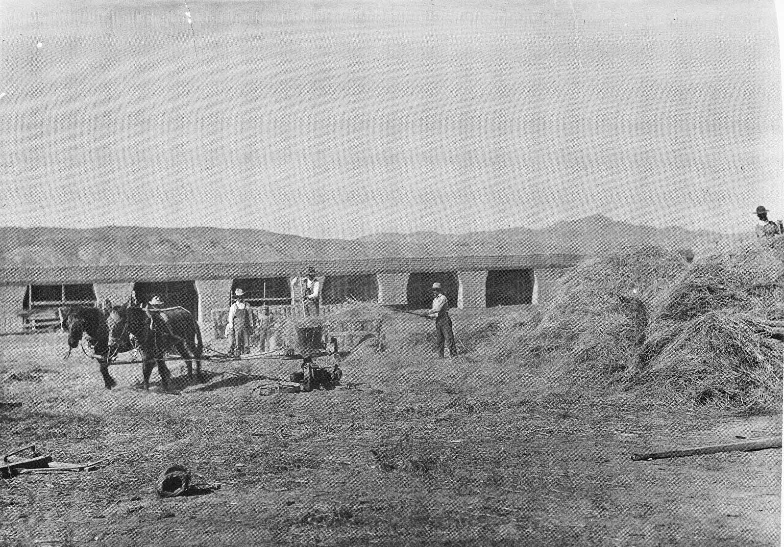 The barns at Shalam Colony.